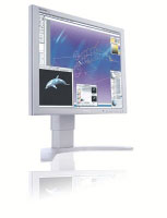 Philips 190P7EG 19  SXGA Monitor LCD (190P7EG/00)